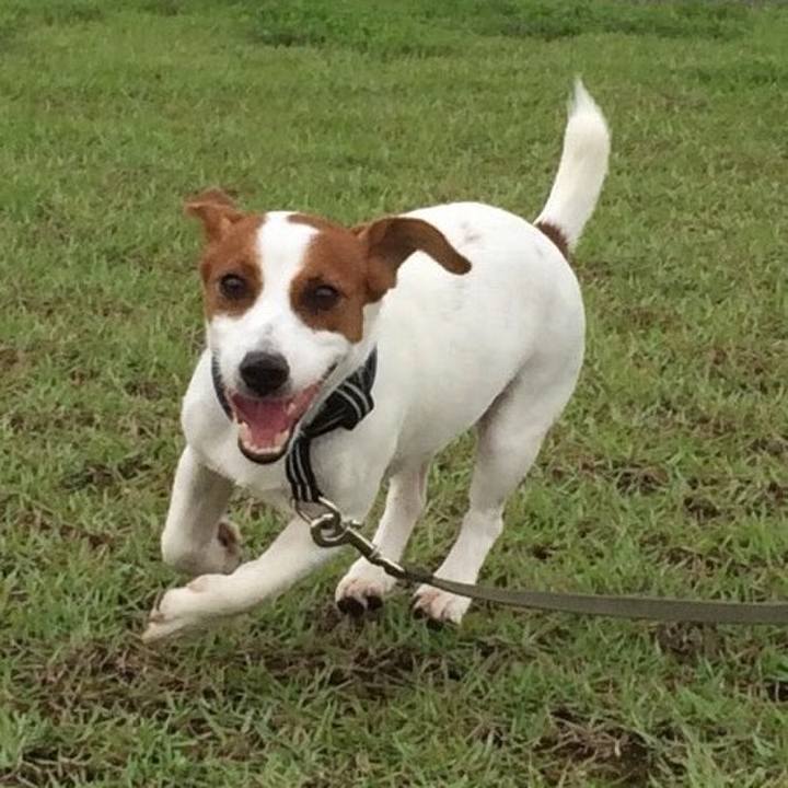 Ccaa05fc 2474 47fa aa6d d98d9178d928