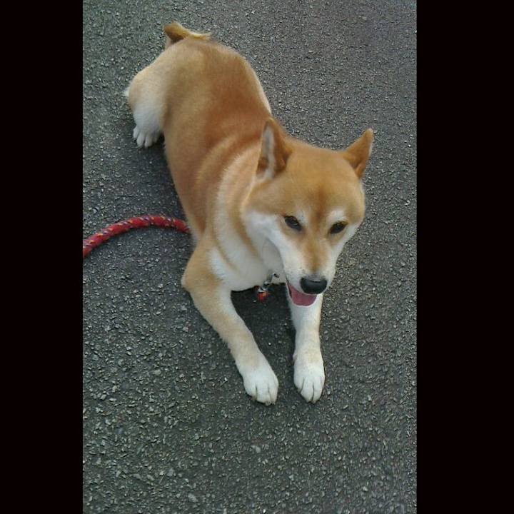 Ccaa97aa cbea 40ce b852 bb5a6ae66098