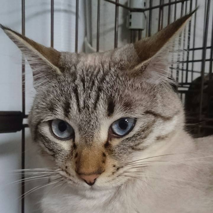 Ccaab496 cdc5 4dba 8797 7c0990773e8d