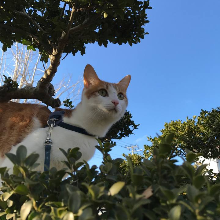 Ccaabba4 246c 4b4f 93f8 02de00f44ae8