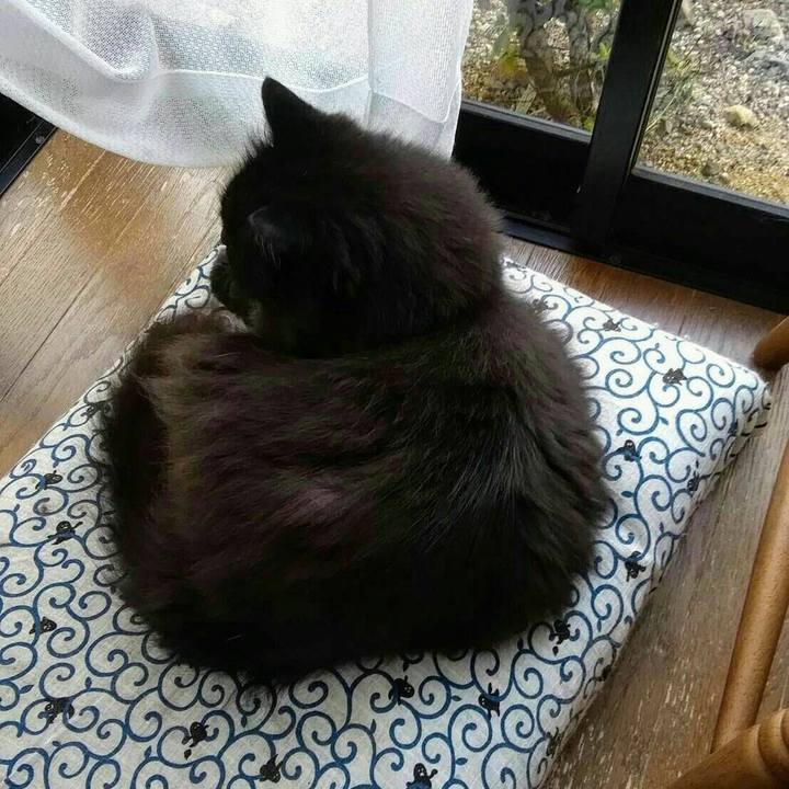 Ccabd050 9c8c 48c8 97ef 8a3dde6e57d5