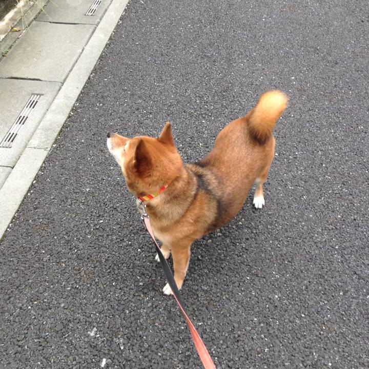 Ccacbb5e e88c 4d63 ae7a 58d4acac84bb