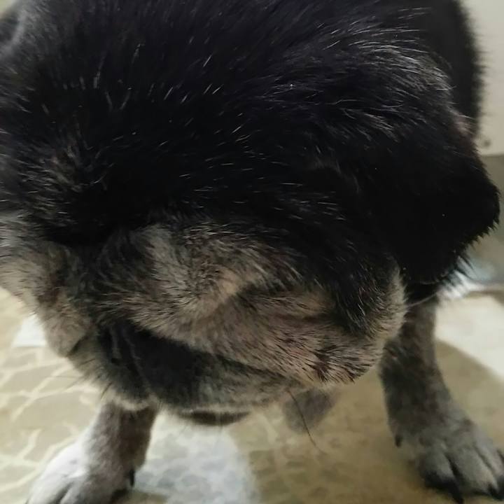 Ccad5514 4fc3 4c14 8189 3db56f2c620b