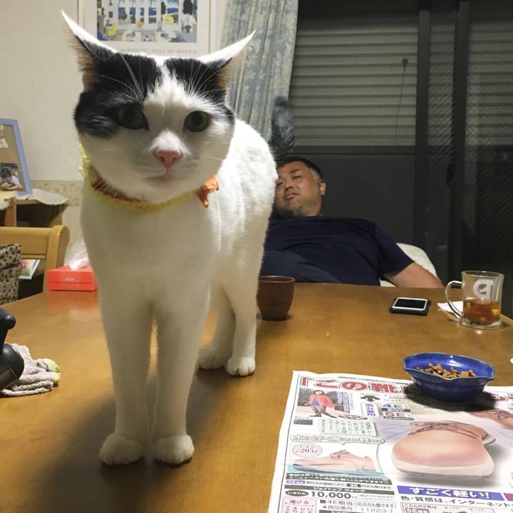 Ccad84e0 d4fb 4c26 97a9 05d650c73bf7