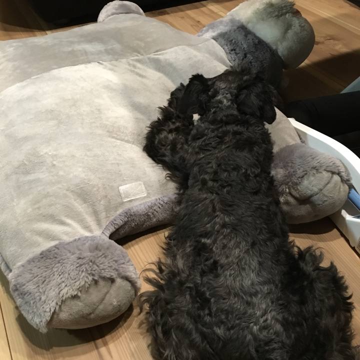 Ccae0c09 5eeb 4276 88e5 e3107a18c757