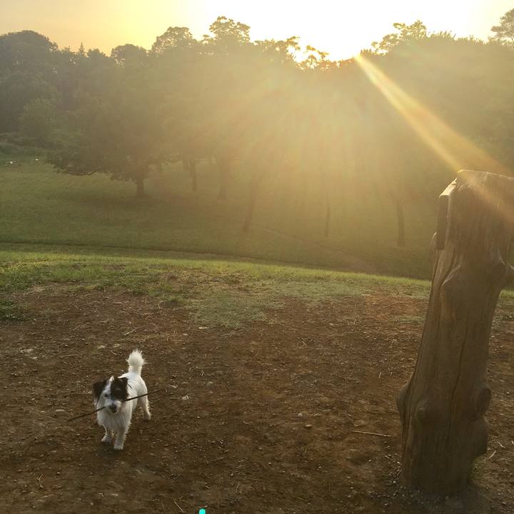 Ccaf77fb b19d 4488 8461 93ecfd54278d