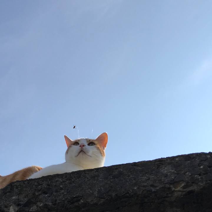 Ccaf8c66 7177 4c80 8912 83cb22005f33