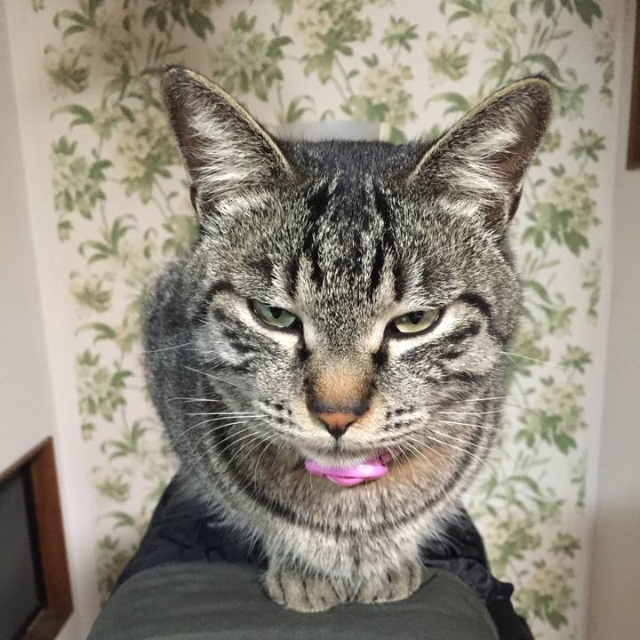 Ccb01cdc 57d0 44bb bc71 ed2a2b281f9c