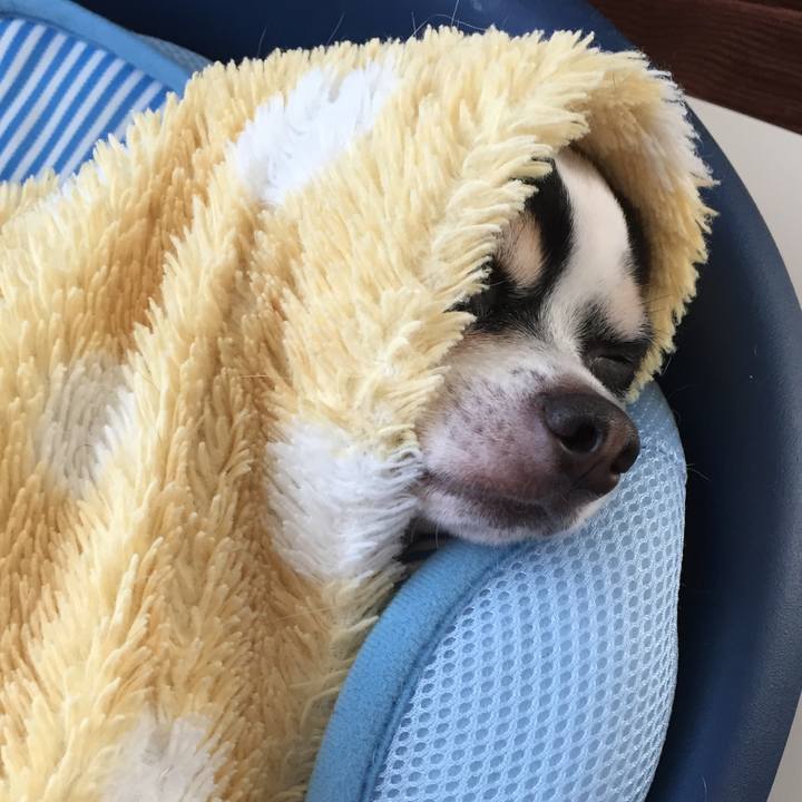 Ccb03863 8a08 4471 8305 53b18469c1c1