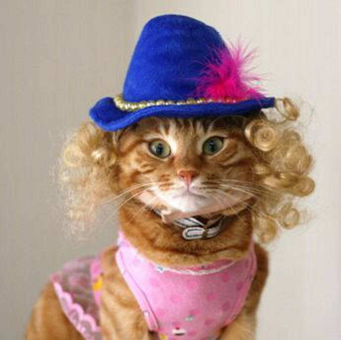 Ccb04302 7359 4ebf b74a d975f2158909