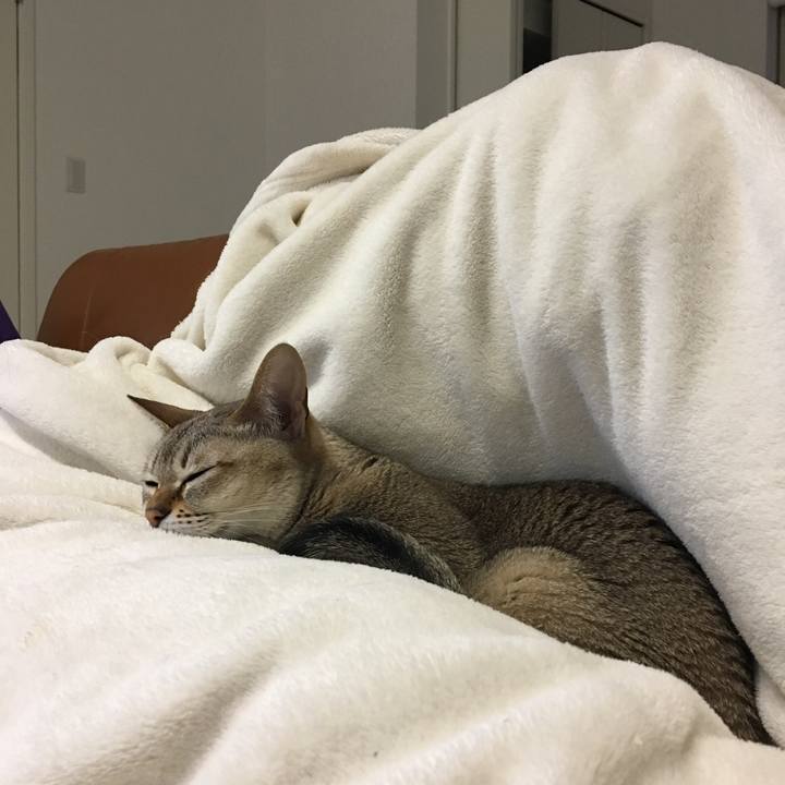 Ccb0724c b1f0 4eaf 83d5 2f5079dfa0ae