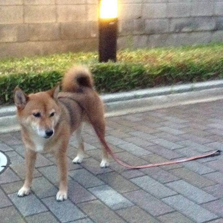 Ccb0a088 5df4 440b 9a13 8d01d2febebb