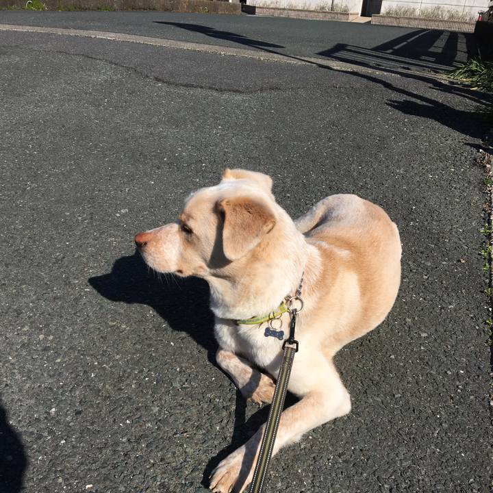 Ccb0f1cd c4a7 4af9 b1d2 e2aed7cf8e3b