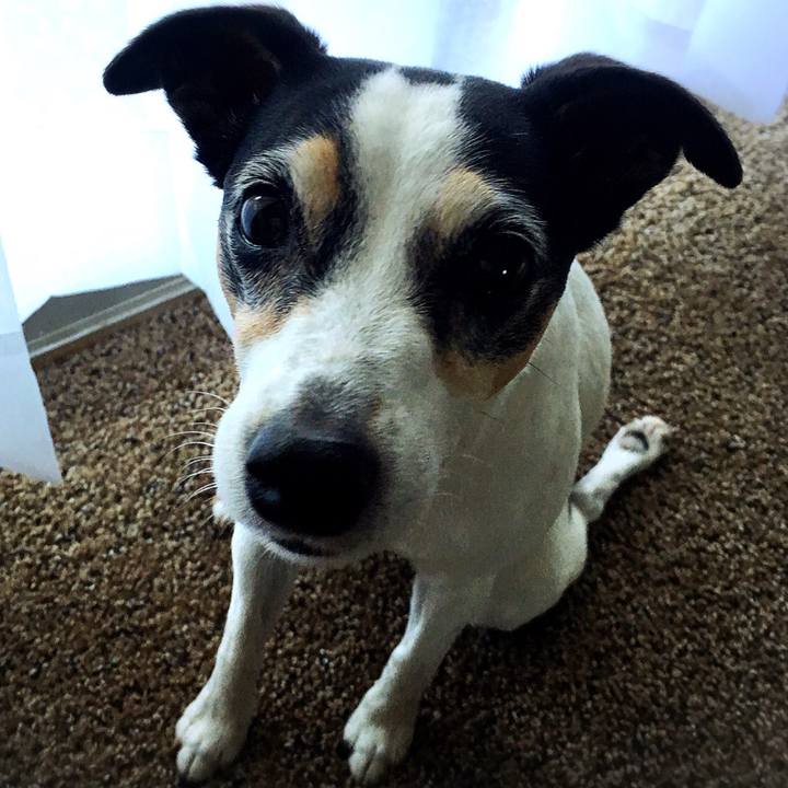 Ccb16f8c 6b14 4c03 8129 142e567864d5