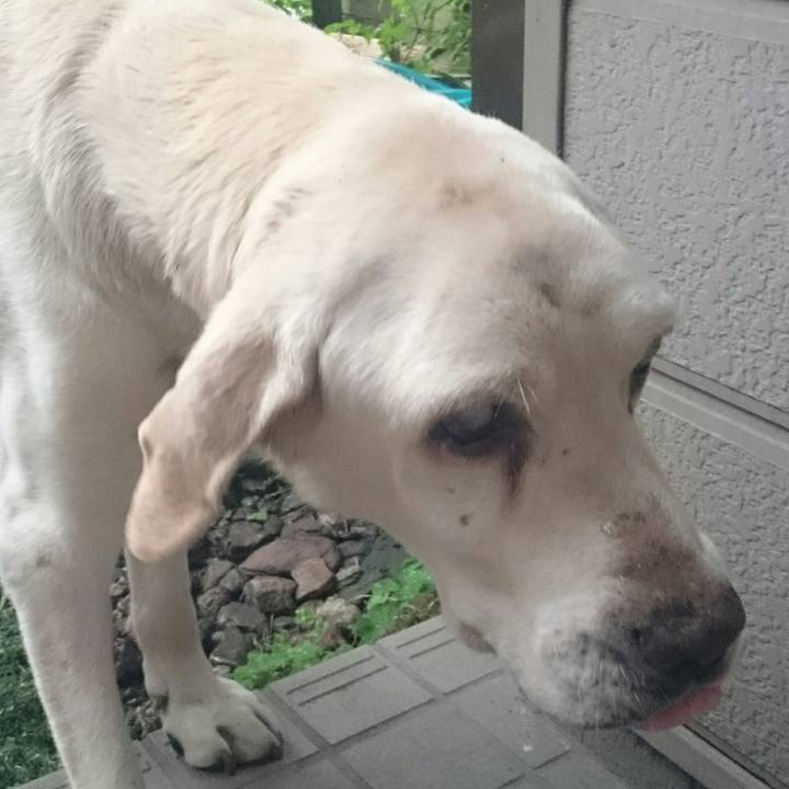 Ccb25ff7 1b2e 4dfe bb5e 9f809016bef1