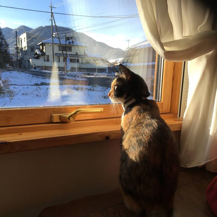 Ccb27163 c5b3 4e86 bdb6 1006041f7790