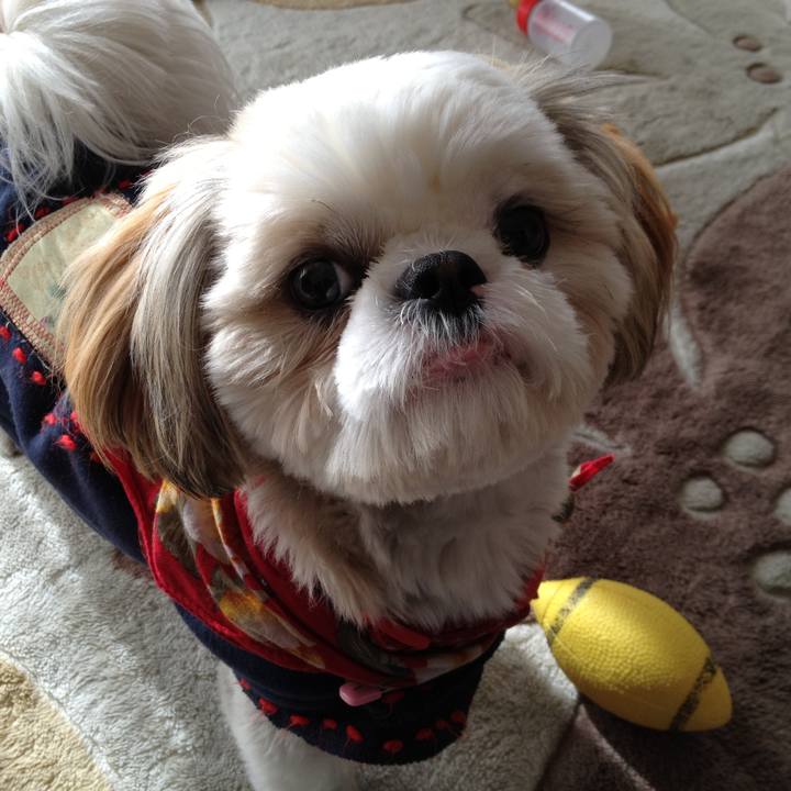 Ccb2745e b018 4a5d bb3b 9c6bf4a3f742