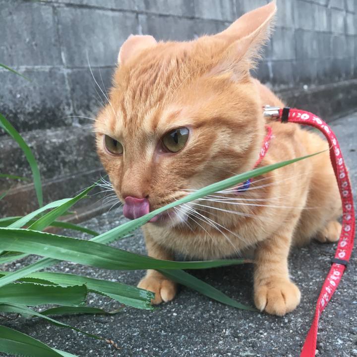 Ccb2f3bf 3029 48f0 aa2d fd352626056f