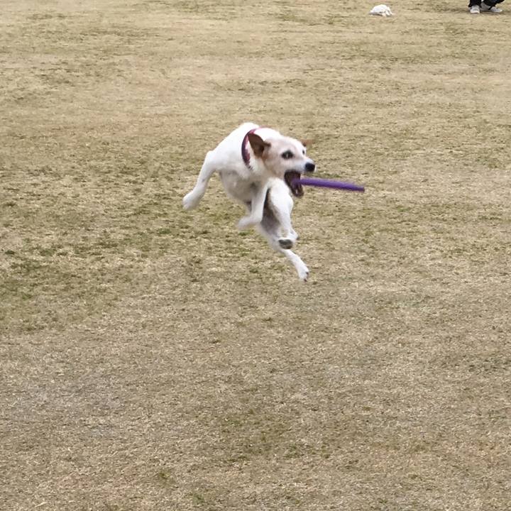 Ccb3113e eb9e 4f38 9a19 2b18c427433b