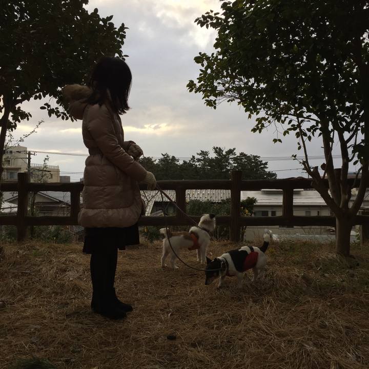 Ccb33091 993b 4c0c a352 0f1e97a31827