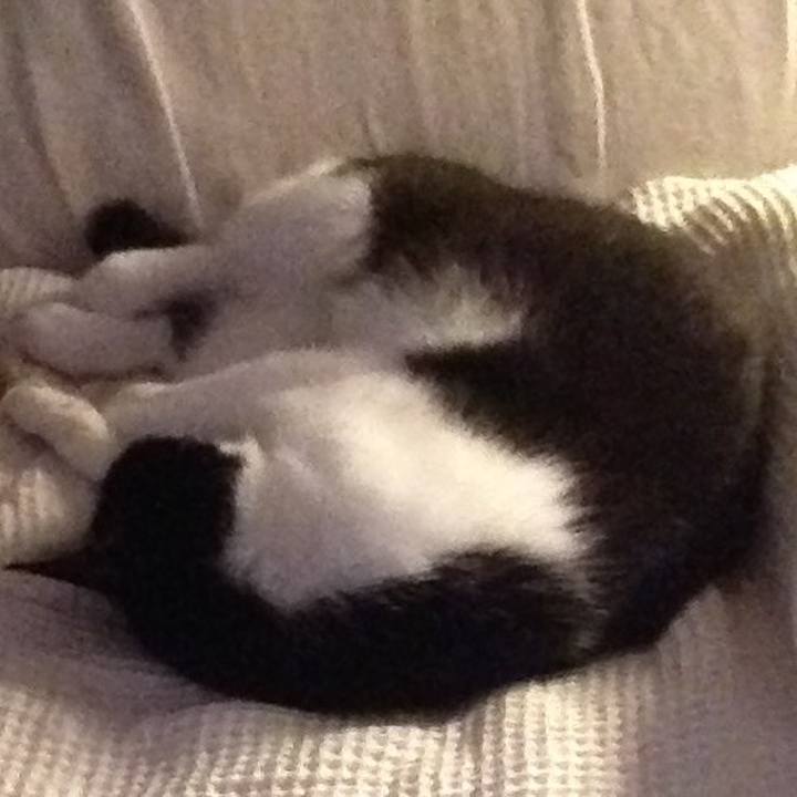 Ccb4cfff b233 4cbe ab25 4de864d8e831