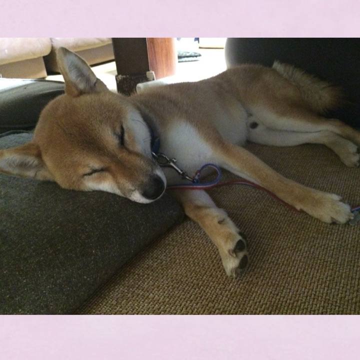 Ccb4de41 0586 453e 802f 2630d2425c44