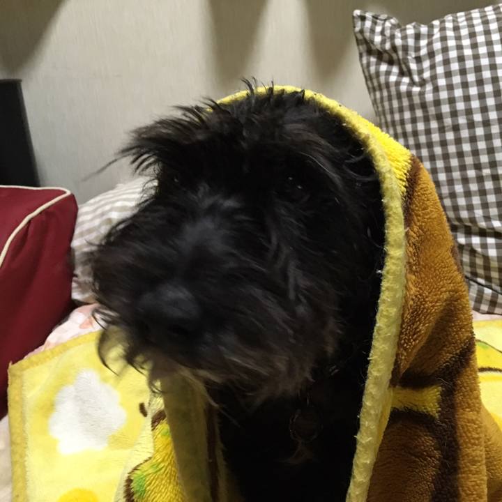 Ccb501fb e176 4cae 88c2 c6d7d7bfc4b6