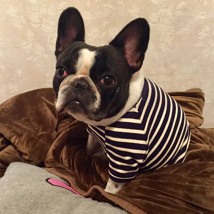 Ccb59a67 16f4 417e bbe0 98c8f8d6a3aa