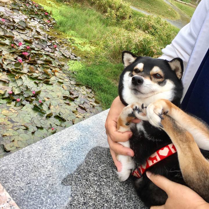 Ccb5d664 aa60 4d48 8ee5 1fecccfecf7f