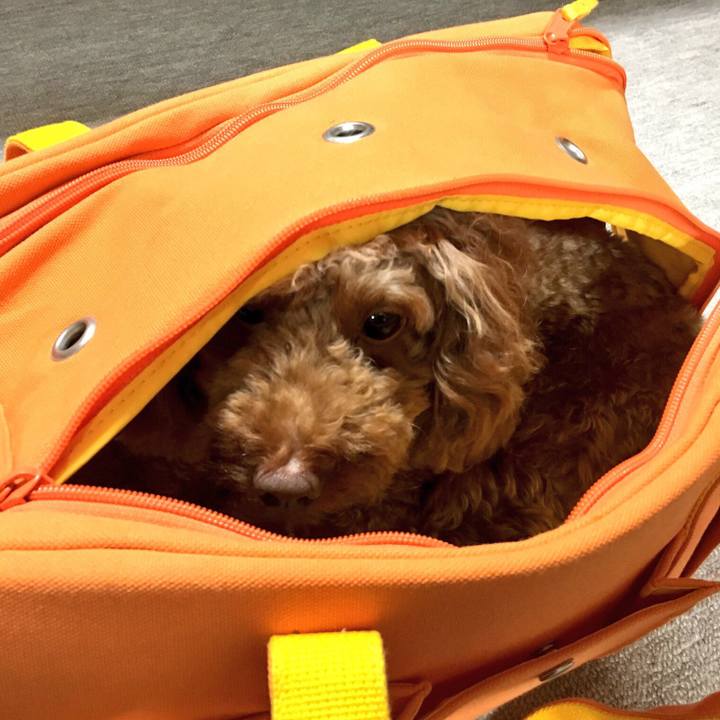 Ccb6313a dcb1 4f6e a072 570258495318