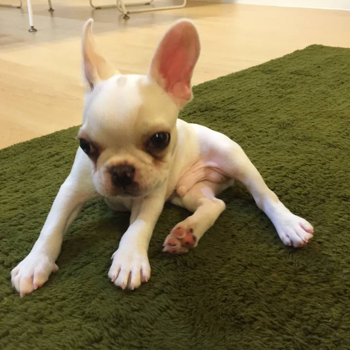 Ccb80e82 2f08 4093 af4b 91833552ab1c