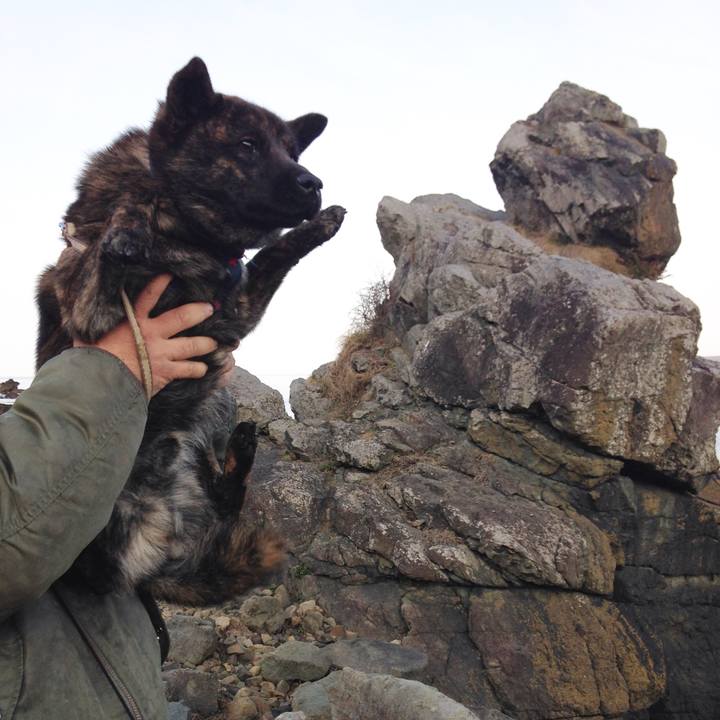 Ccb821b1 e1e3 43c0 8bb2 6bd8e404fd2c