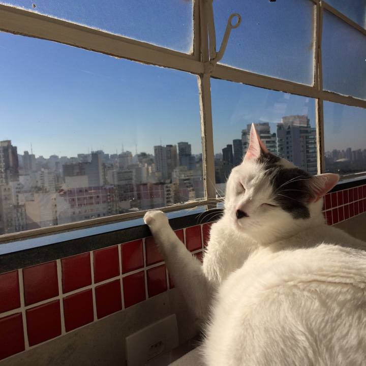 Ccb8954a d235 48dc b330 10e81cc620a1