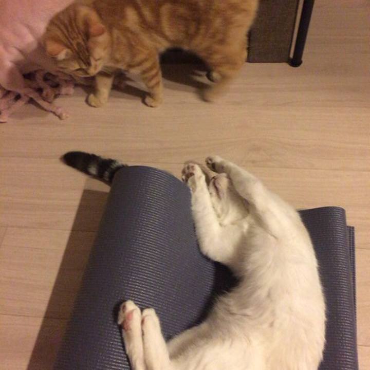 Ccb8d865 e972 4170 a83e 4aad4cb3e000