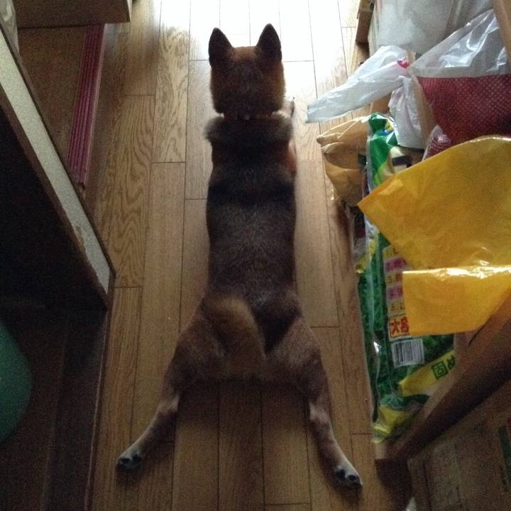 Ccb8e28e 582e 479b 8769 7f74c3849822