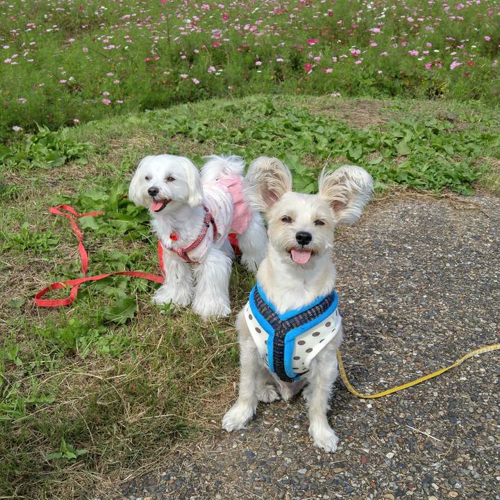 Ccb97b8f ee49 4557 a89f 13280579f73f