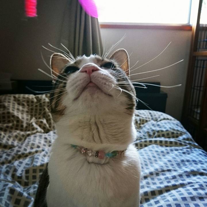 Ccb9d41c 22b6 4864 950c 858b567ac5b9