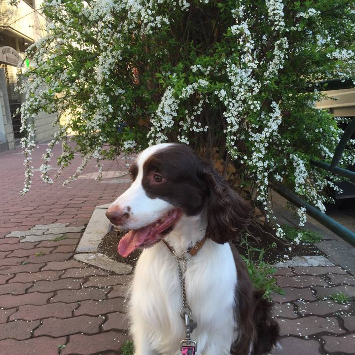 Ccb9d71a 2c78 4f46 a57c b21a93c0f398