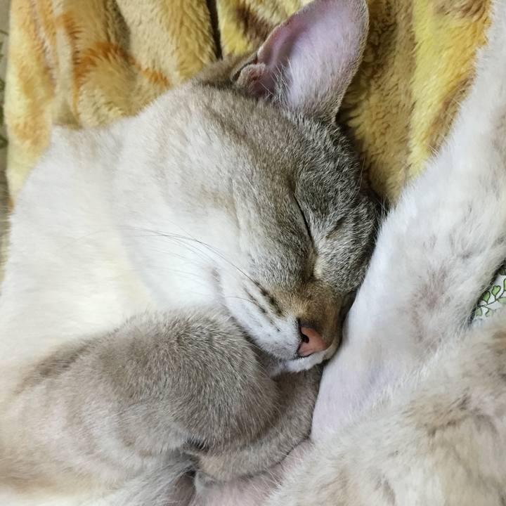 Ccb9ee8b be8c 469c b4d2 a0975a67e383