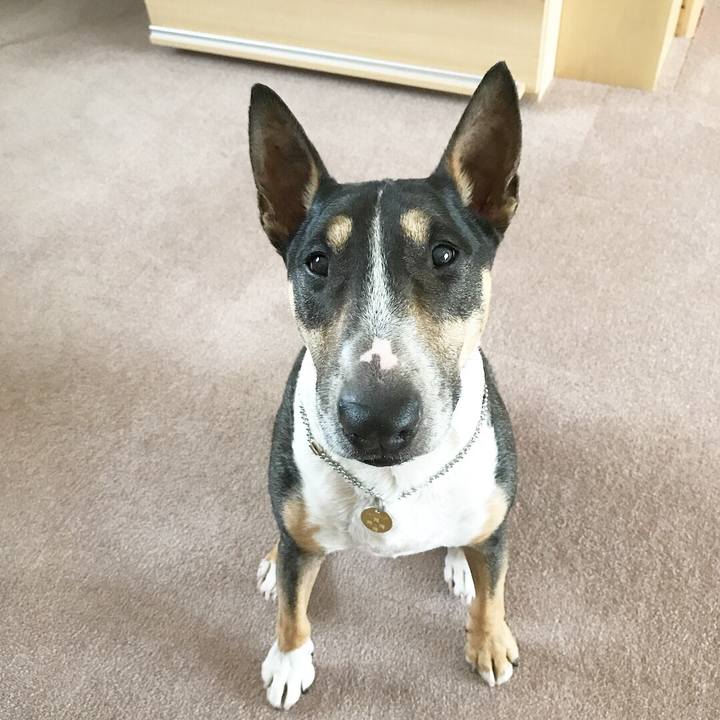 Ccba1c2a 04fa 4018 80f4 b46a5164b67e