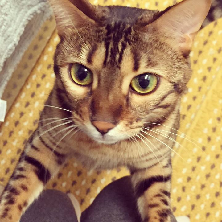 Ccbab49f ade6 4250 8b39 052742973106