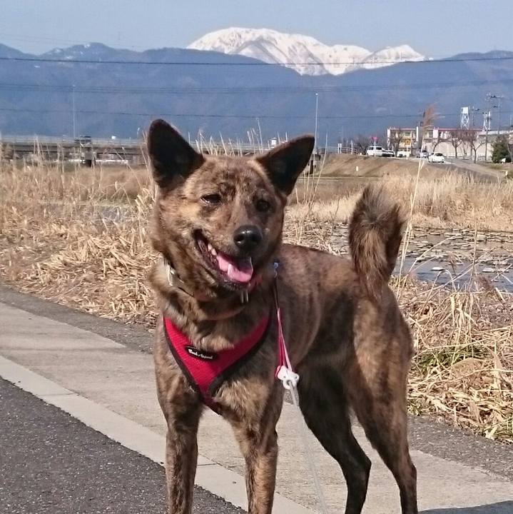 Ccbb3519 7e4b 453b b0b0 f10729d44b66