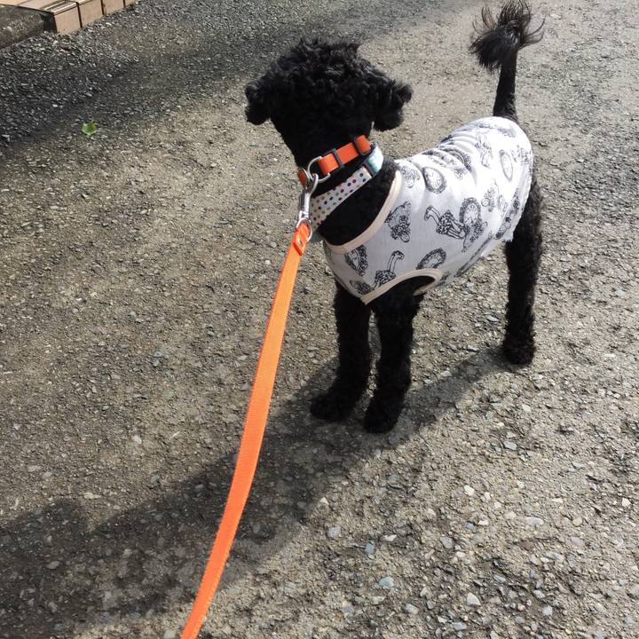 Ccbba988 414f 4ee8 a310 763b3d7d1493