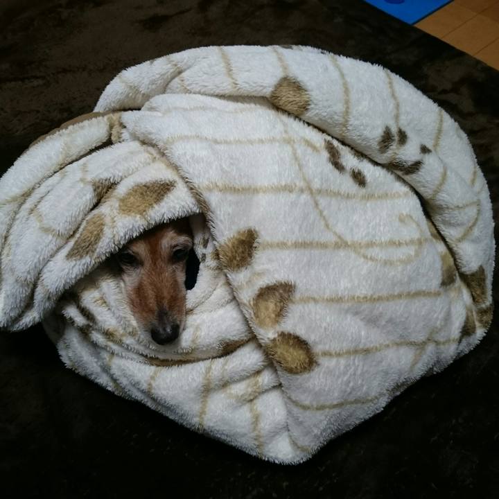 Ccbbed7a 3501 4356 ba63 a5656b14cc96