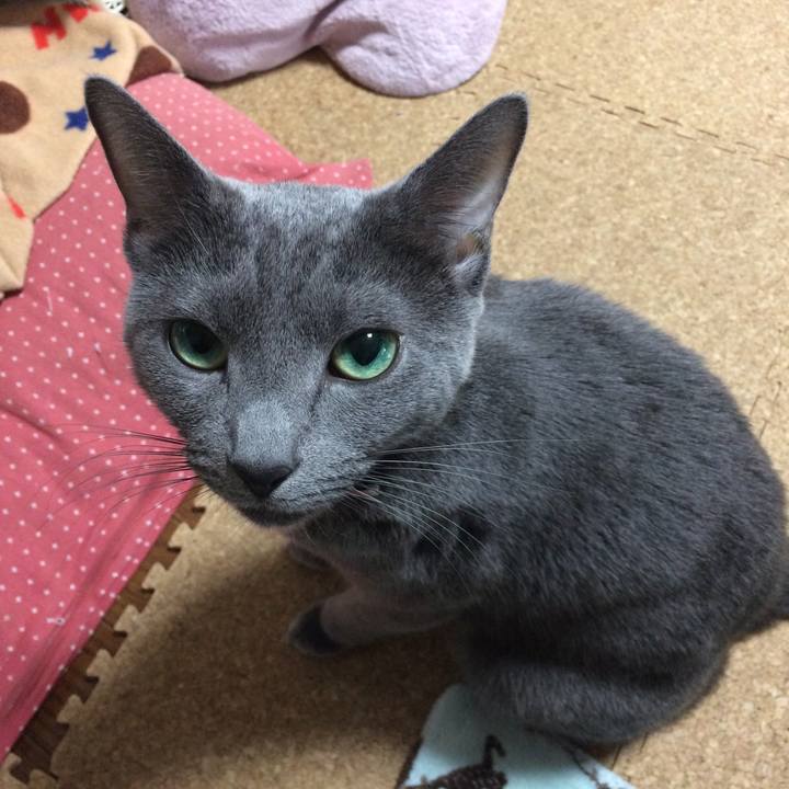 Ccbc62b3 d7cd 4446 956c d38c8ce2b165