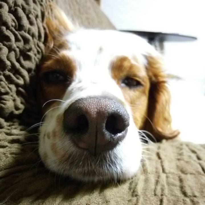 Ccbd1cd4 cef9 4e0e be71 5a6cb1cff2bb