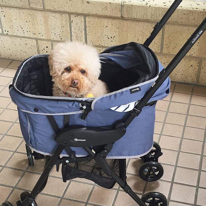 Ccbd1e28 64f6 4fd8 a791 ab49ce9c6838