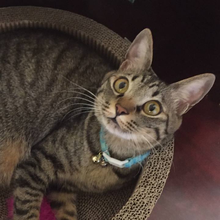 Ccbd3a5f 79d1 4cbd 80a3 7daf2d1b0568