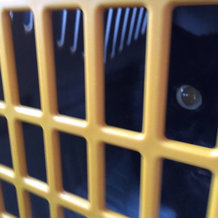 Ccbd4515 3d97 42b4 bb7c 747b50d17c5b