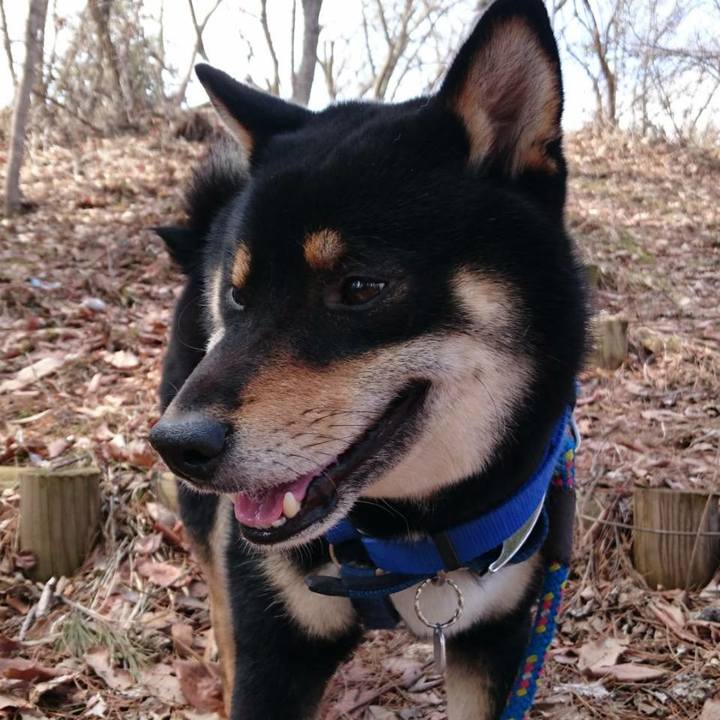 Ccbe59b6 b26b 4884 b1d3 6b9de9373a17